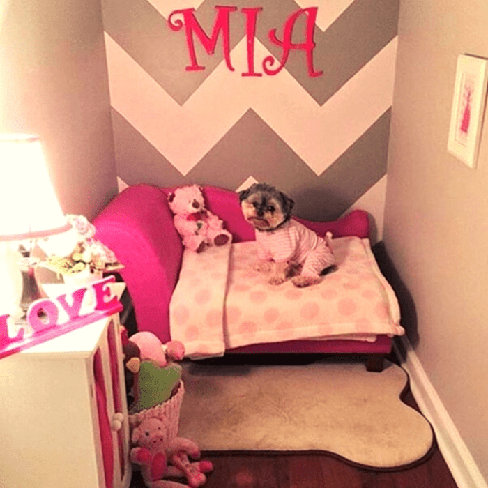 How to decorate a dog room