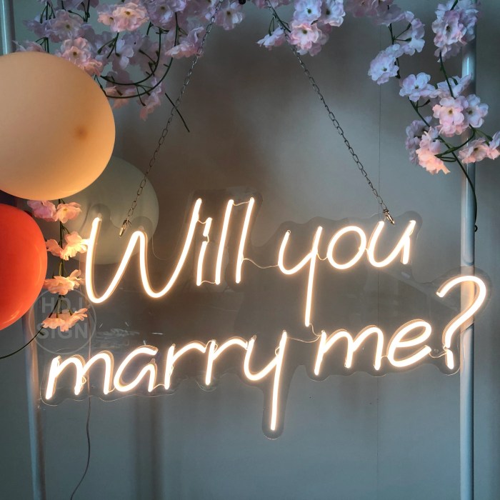 Will you marry me room decor