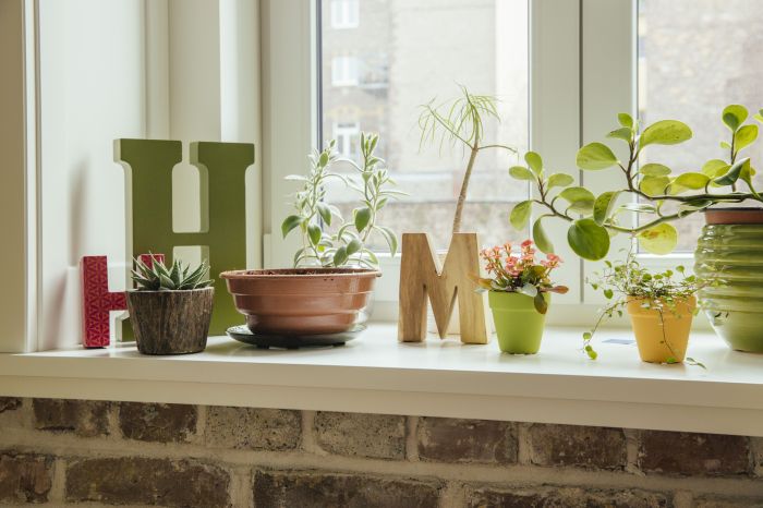 How to decorate bathroom window sill